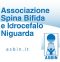 Associazione Spina Bifida e Idrocefalo Niguarda Odv